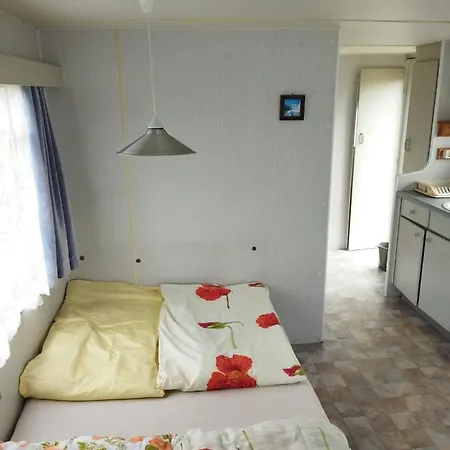 Marcity Camping *